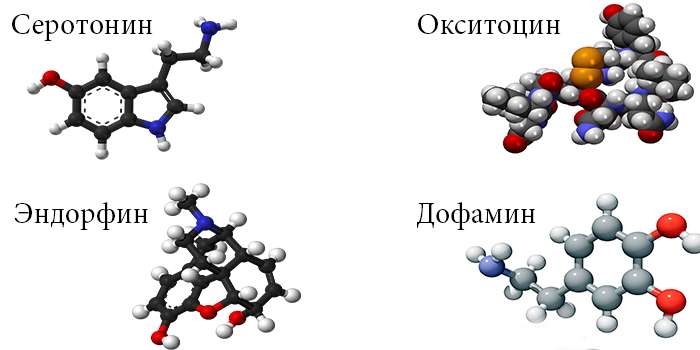 Состав геля Провокация для мужчин и женщин